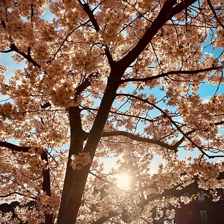 Schoene Aussichten Mitten In - Il Sole Lejlighed