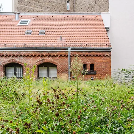 Wilmina Berlin