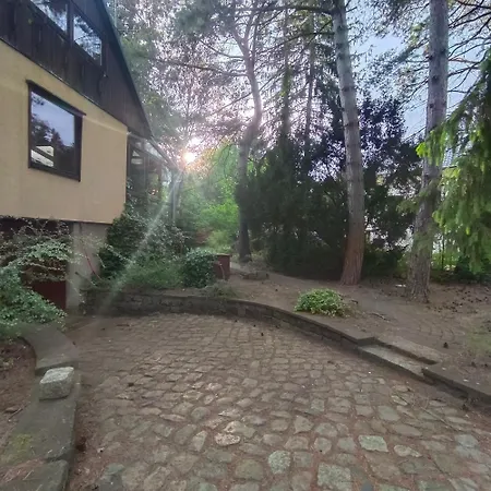 In-the-middle-of-nature Spacious Nest Brandenburg Airport Guest house *