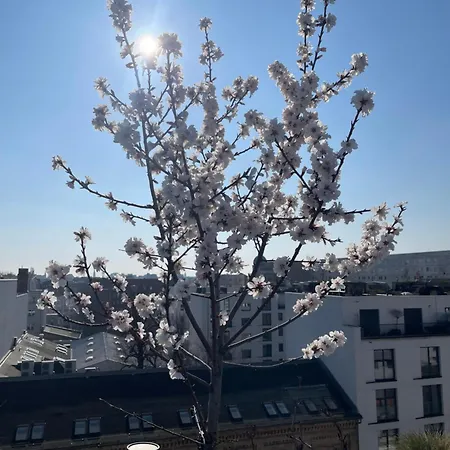 Tolles Penthouse In Mitte