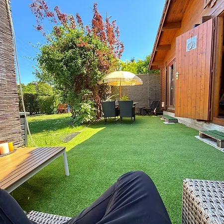 | Garden, Terrace, Nature * 베를린
