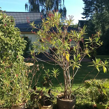 Holiday home Ferienwohnung Mahlsdorf-ein Quantchen Mehr *