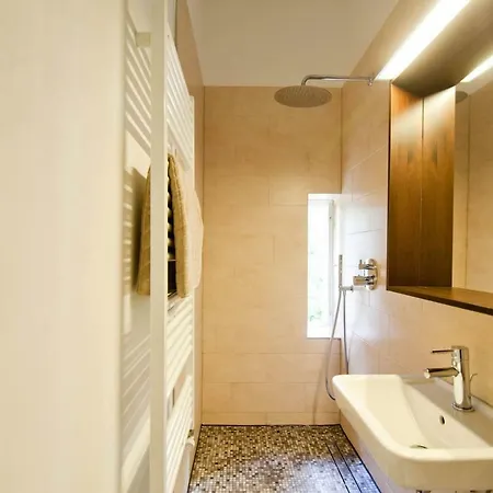Apartment Magnificent Turn Of Century Flat