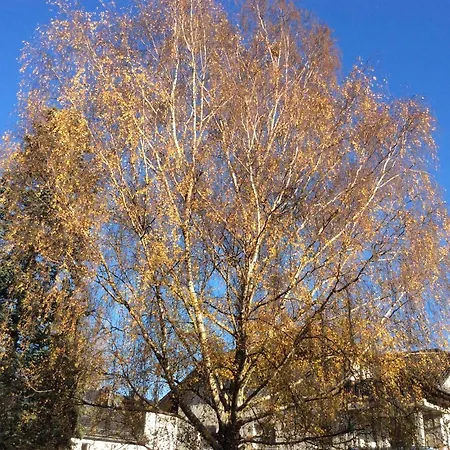 Ferienwohnung Mahlsdorf-ein Quantchen Mehr Holiday home *