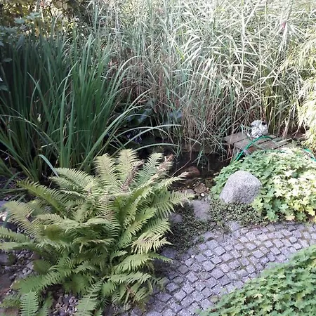 Séjour chez l'habitant Mijo's